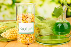Rise End biofuel availability